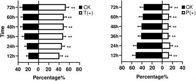 Plant Defense Responses Induced by Two Herbivores and Consequences for Whitefly Bemisia tabaci